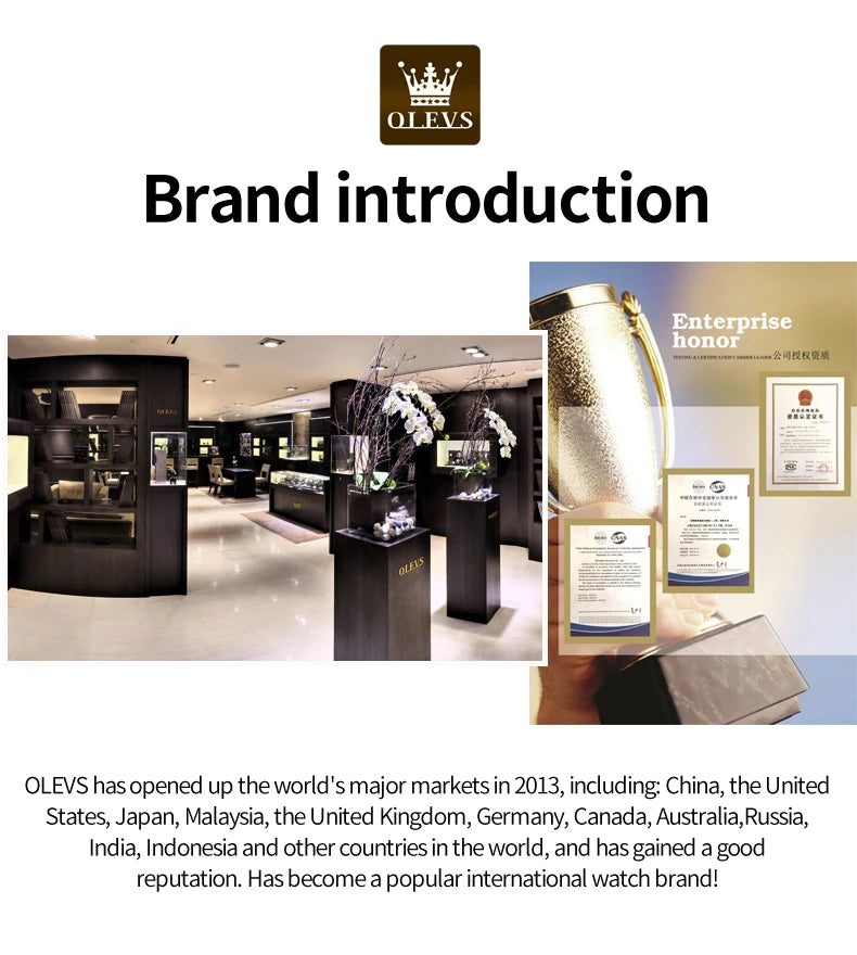 OLEVS 6650 Men Watch Classic Original Automatic Mechanical Watch For Man Zircon Scale  Waterproof Luminous Stainless Steel Reloj