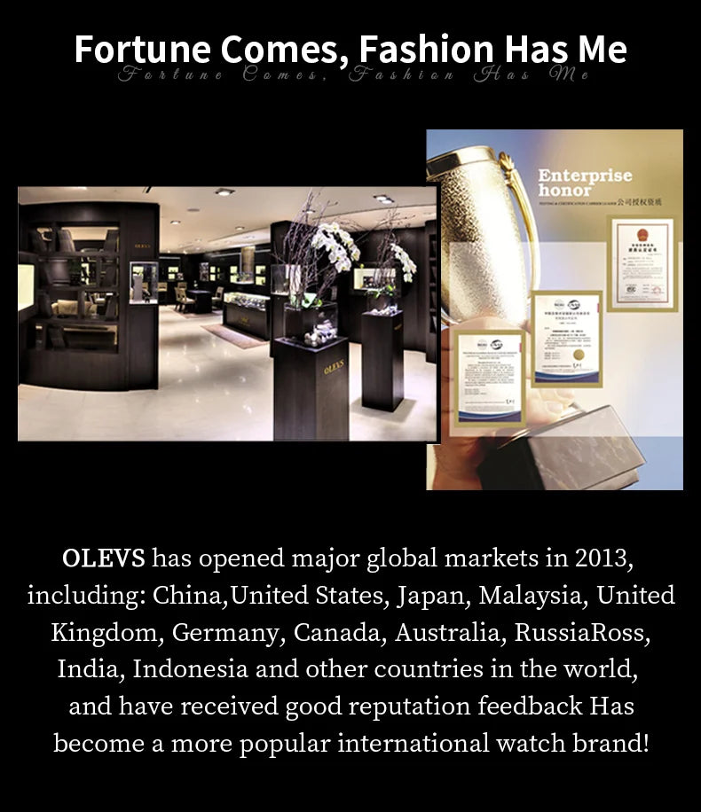 OELVS 6678 Men's Watches Luxury Original Automatic Mechanical Tourbillon Watch for Man Waterproof Luminous Date Week Moon Phase